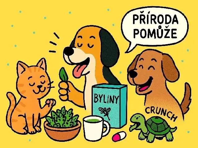 Bylinky pro zvířata